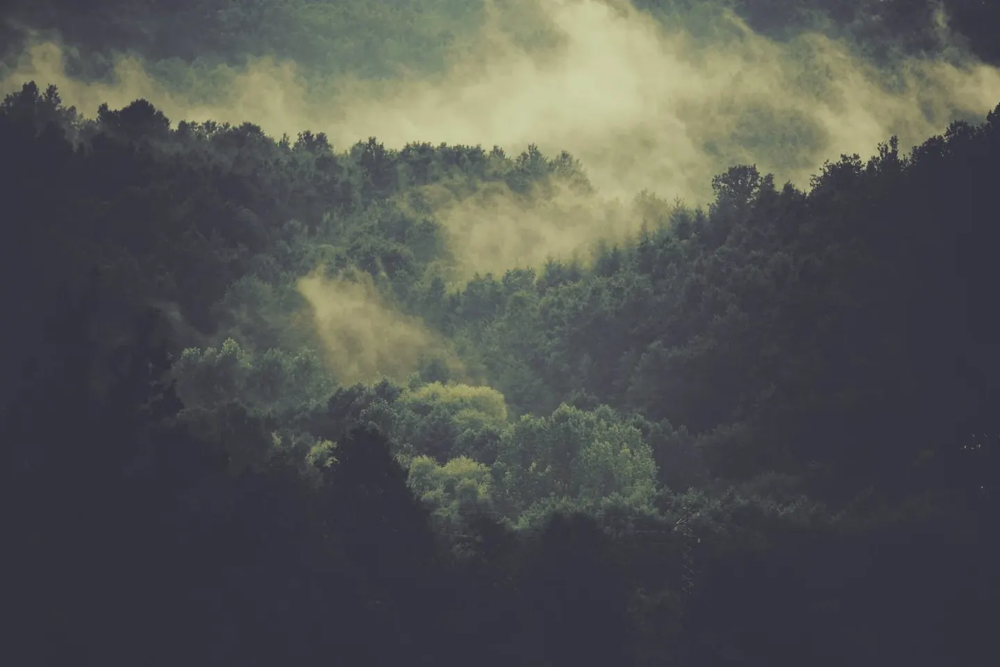 Ten Gentle Ways Through the Winter Blues
