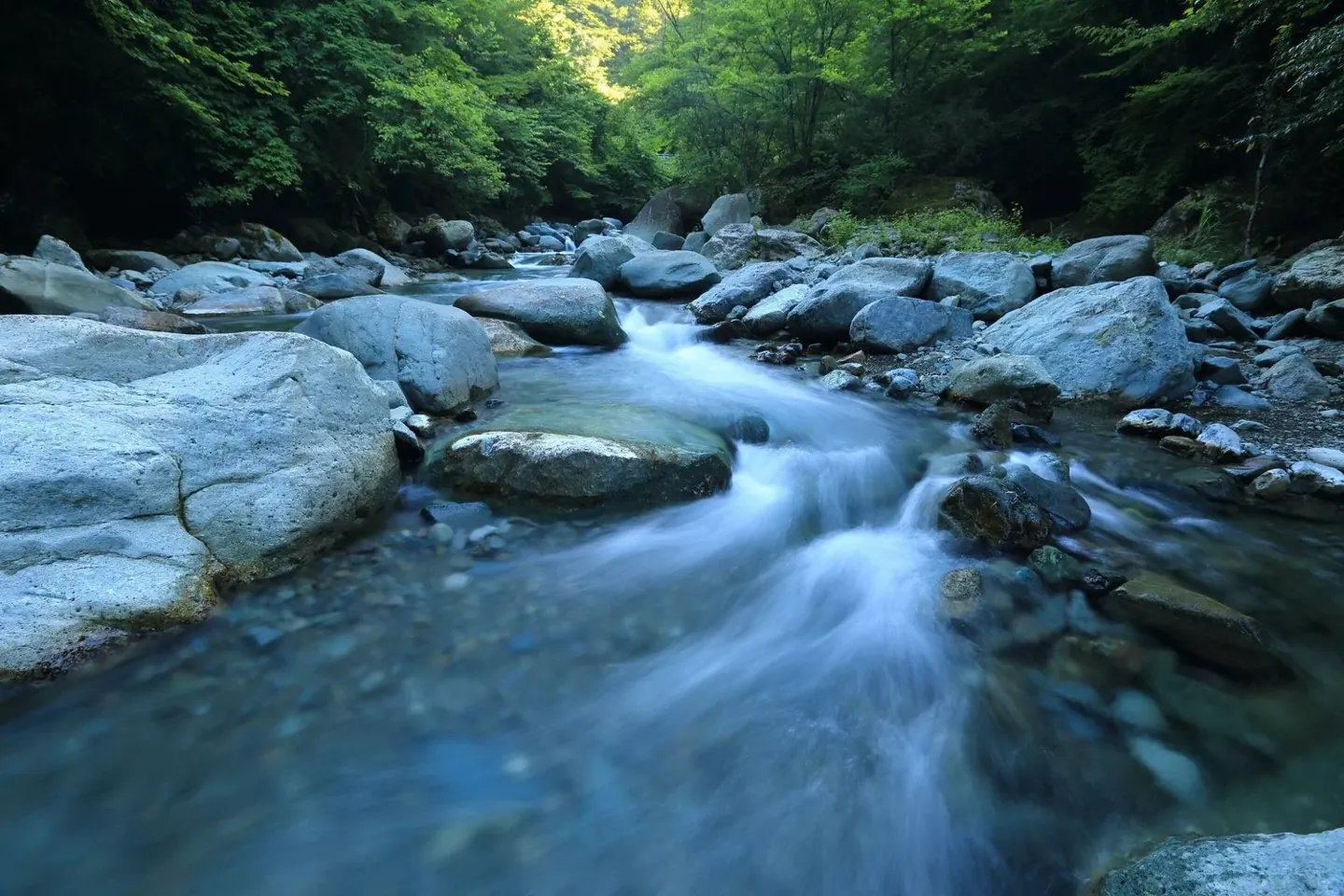 A clear river moving between smooth stones and green woodland