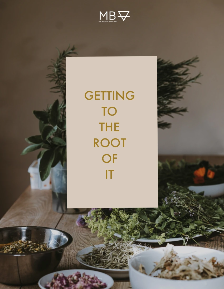 Getting To The Root Of It — preview of the course guide